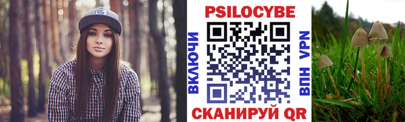 Псилоцибиновые грибы Cubensis хочу наркоту Буй